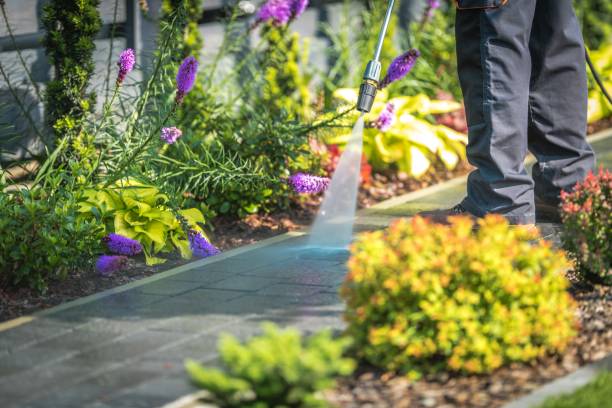 Best Fence Cleaning  in Omak, WA