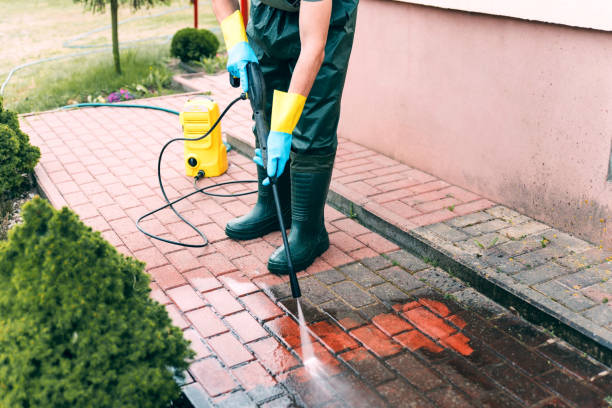 Animal Enclosure Cleaning in Omak, WA